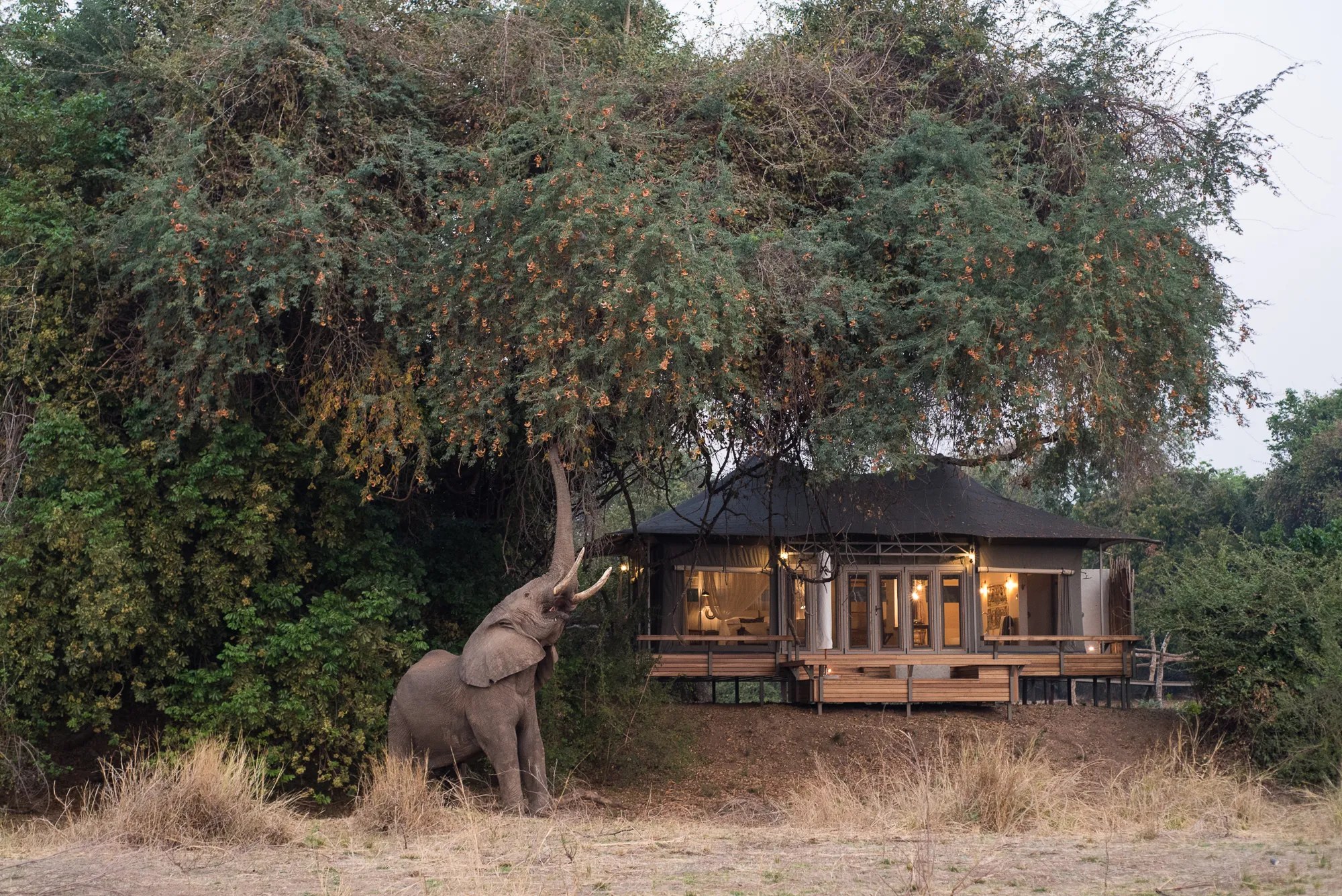 Chikwenya Game Lodge, Mana Pools