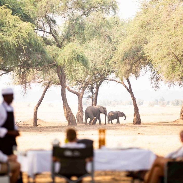 Chikwenya Game Lodge, Mana Pools