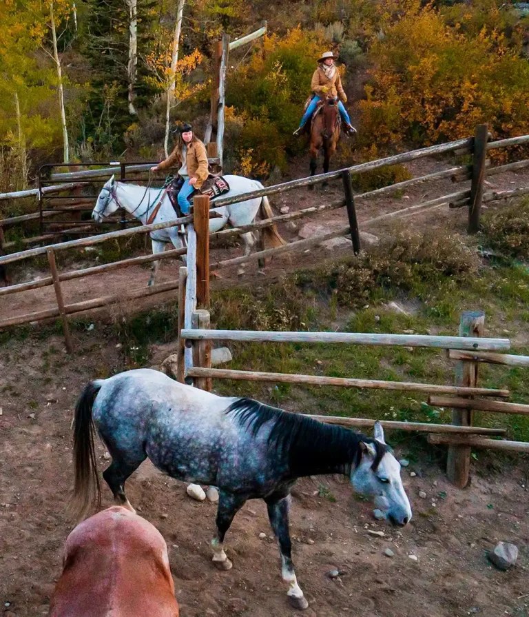 vista verde luxury resort ranch horse vacation  768x895