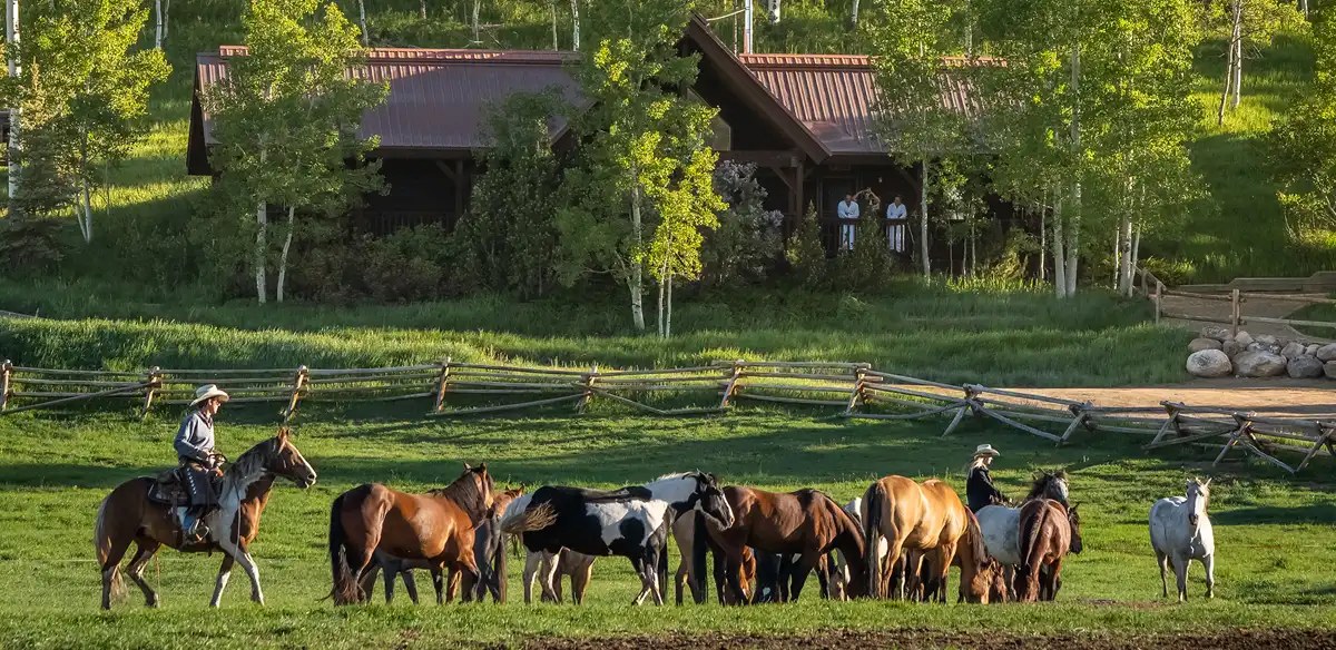 vista verde luxury resort ranch horse riding
