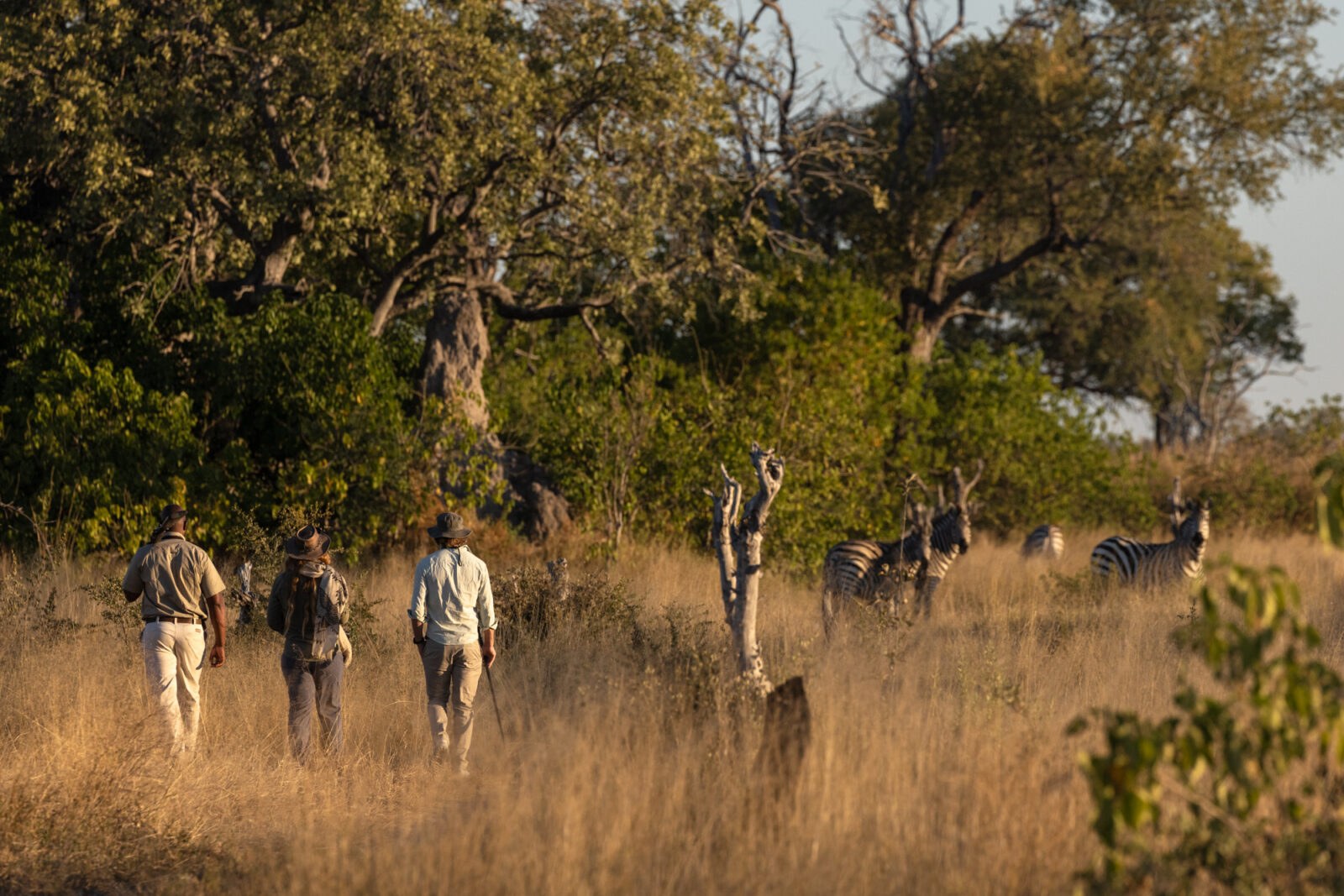 Mapula Lodge en Delta Okavango