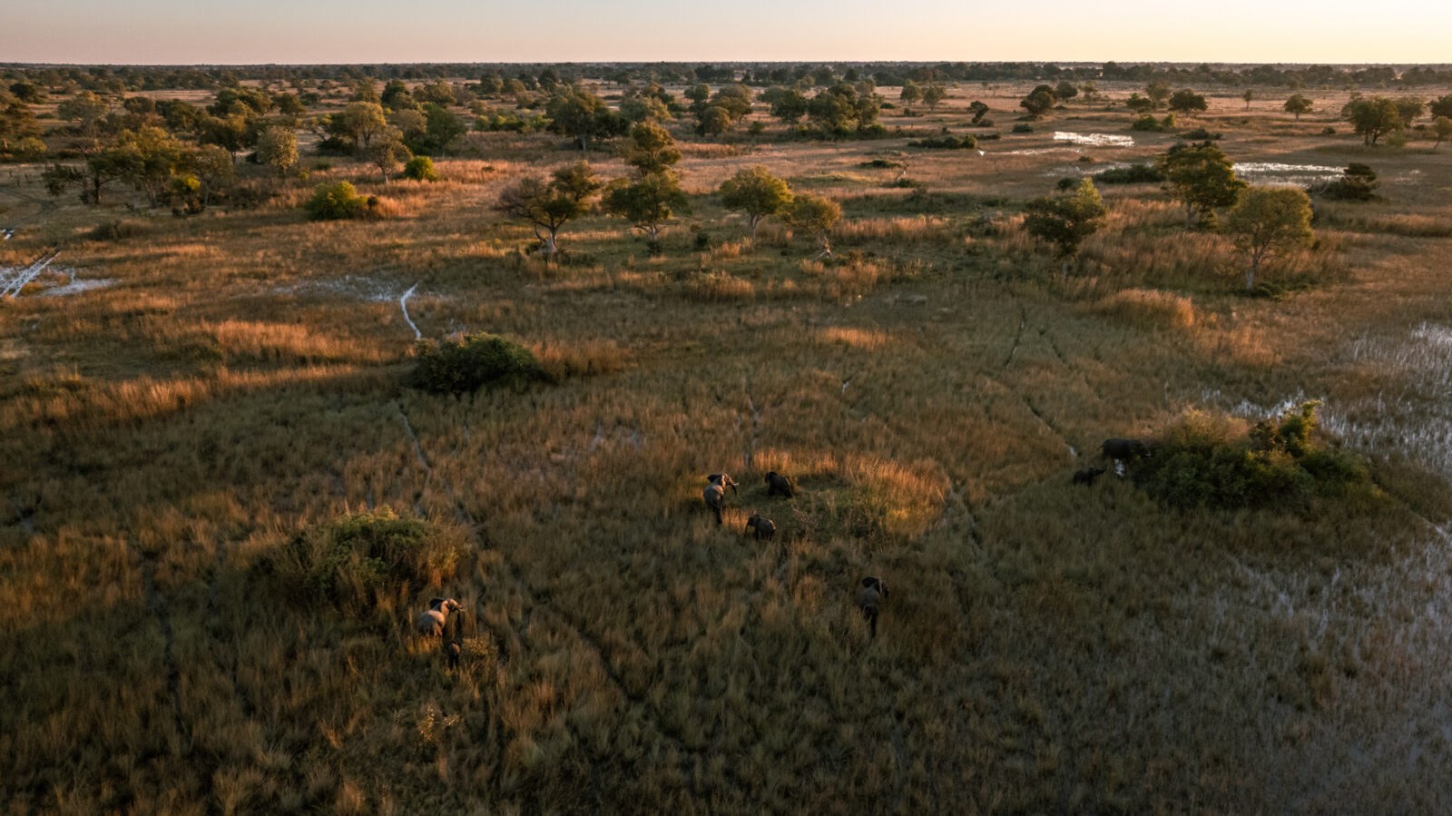 Mapula Lodge en Delta Okavango