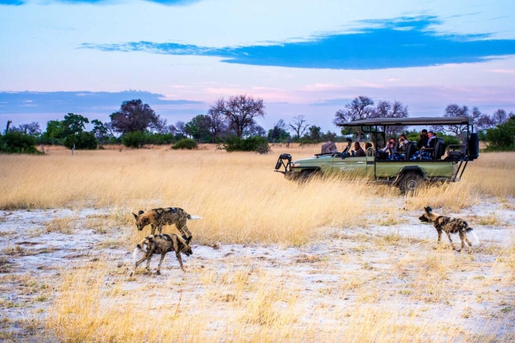 Splash Camp en Delta Okavango