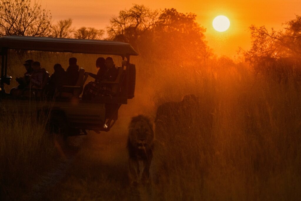 Splash Camp en Delta Okavango