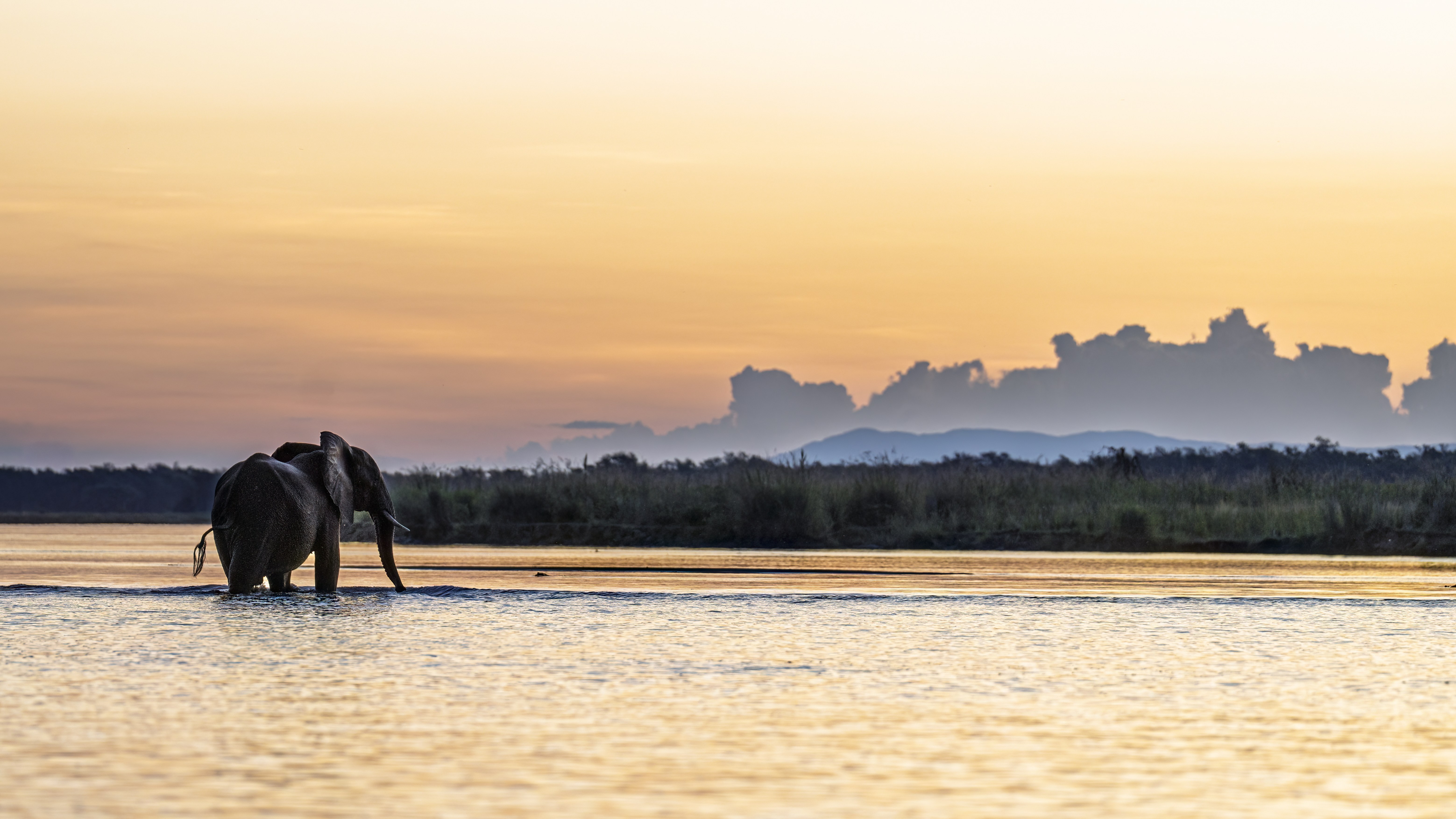 Dulini Anabezi, Lower Zambezi