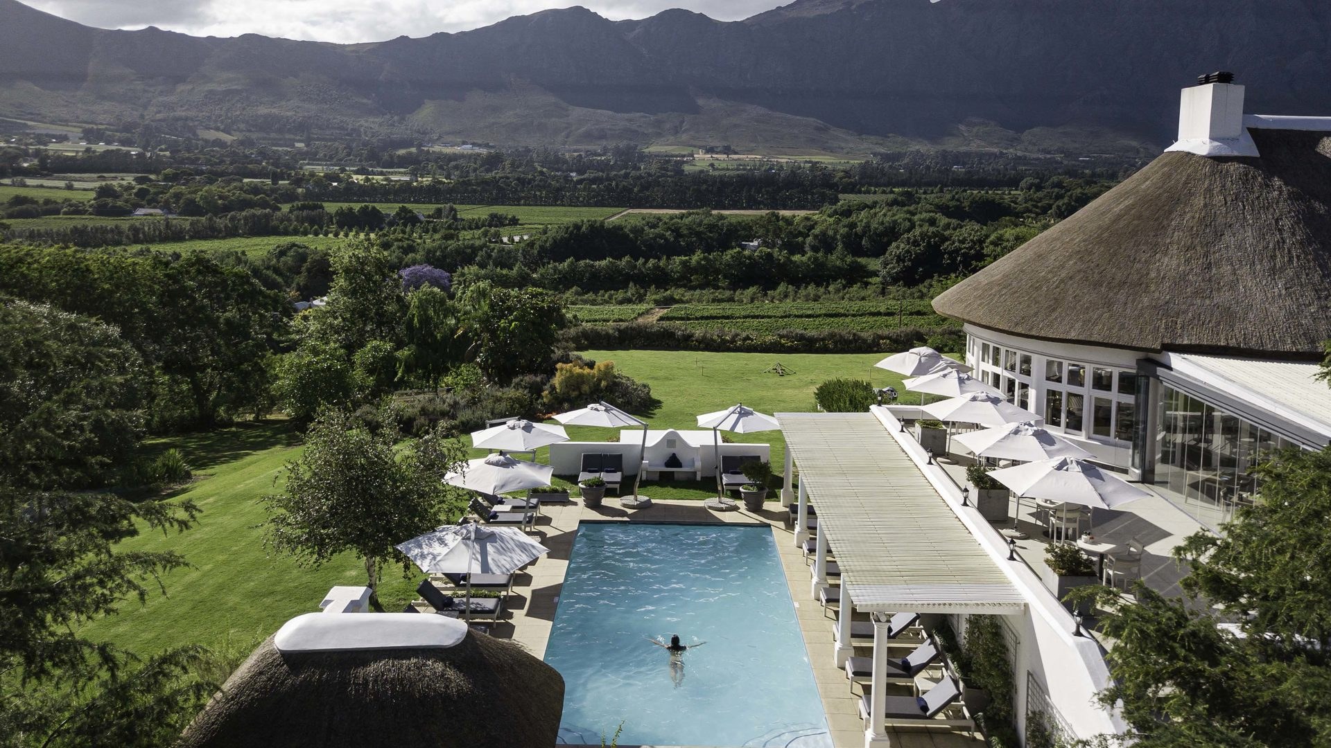 Piscina y viñedos