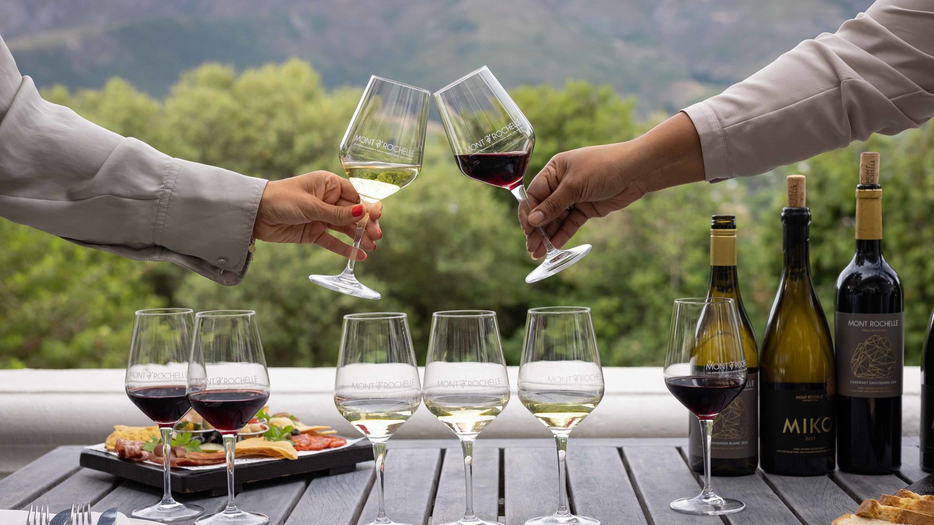 Cata de vinos