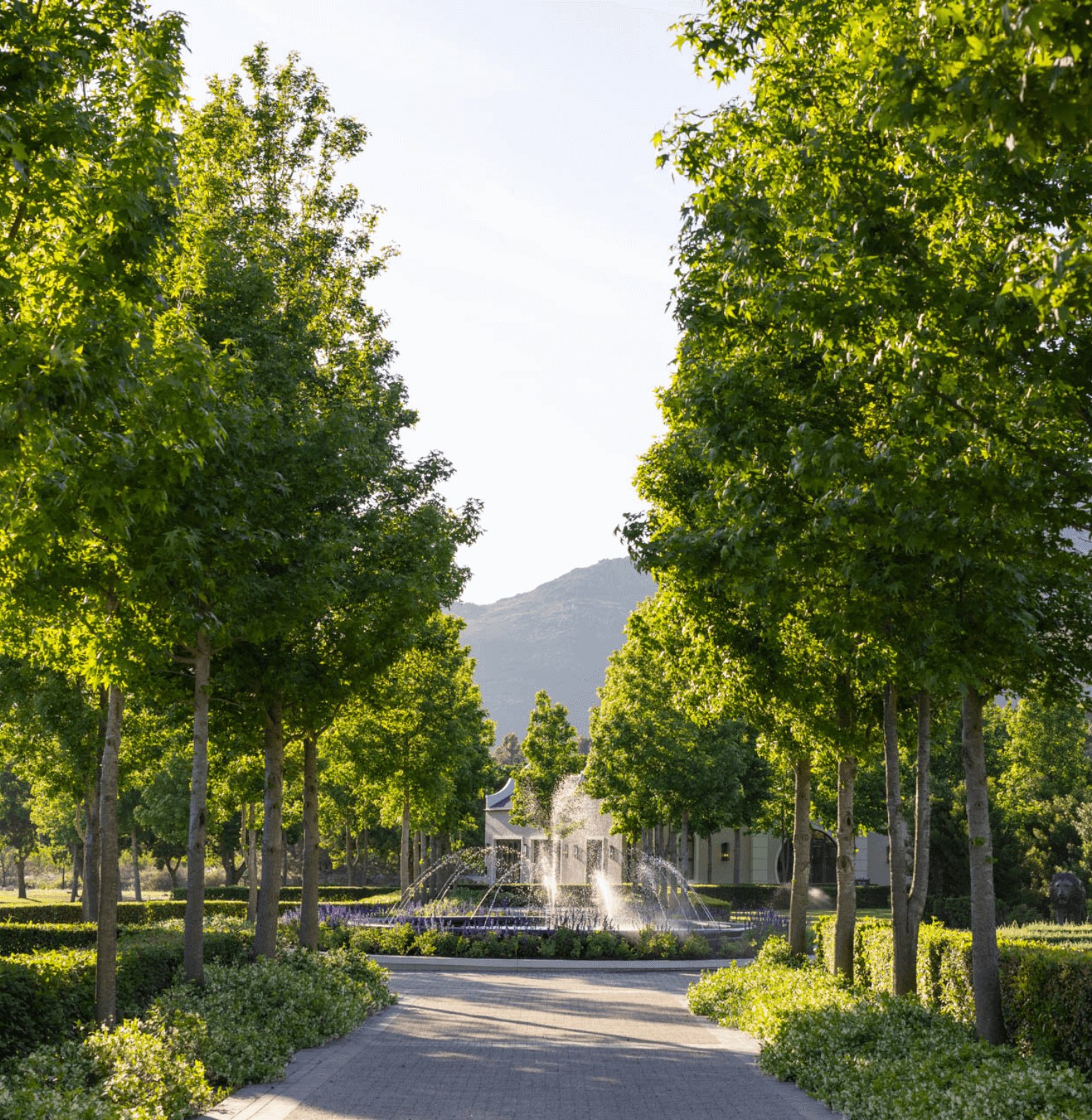 Oakvale Estate en Franschhoek