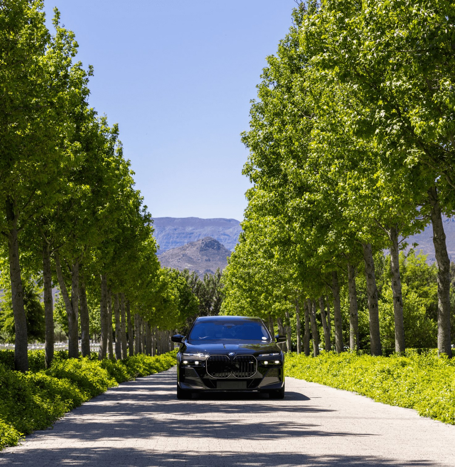 Oakvale Estate en Franschhoek