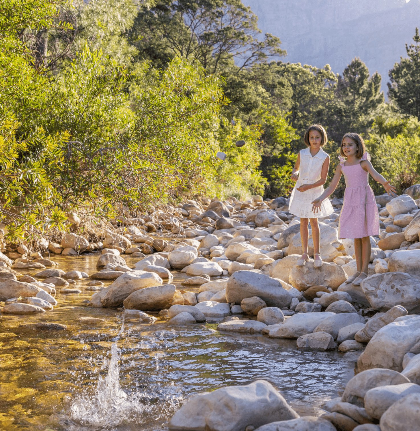 Oakvale Estate en Franschhoek