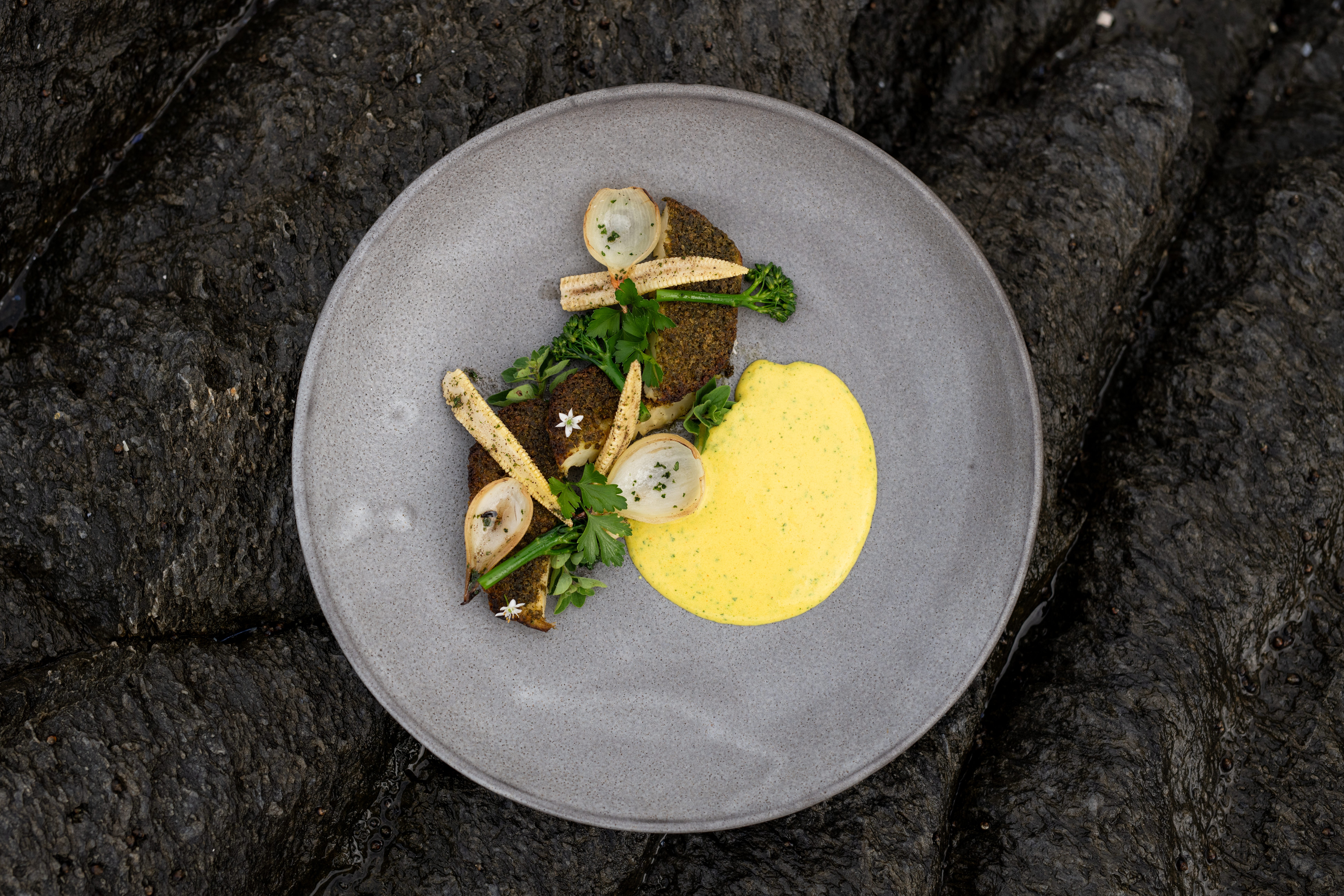 s CELERIAC STEAK 01