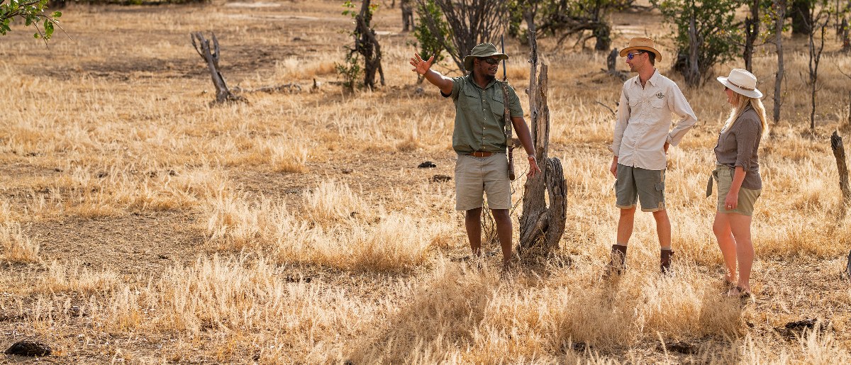 Ingwe Pan Camp, Mana Pools