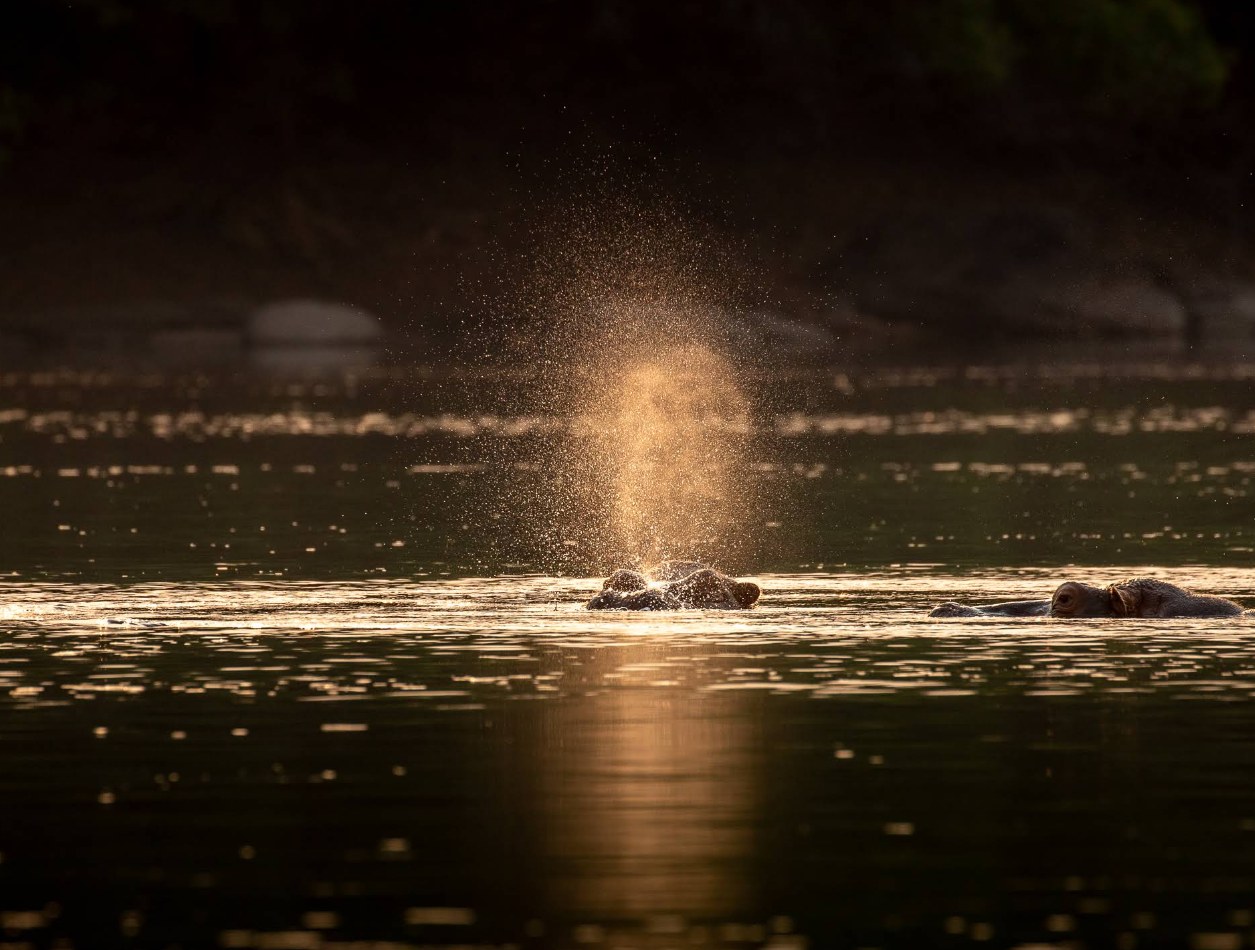 KaingU Safari Lodge en Kafue