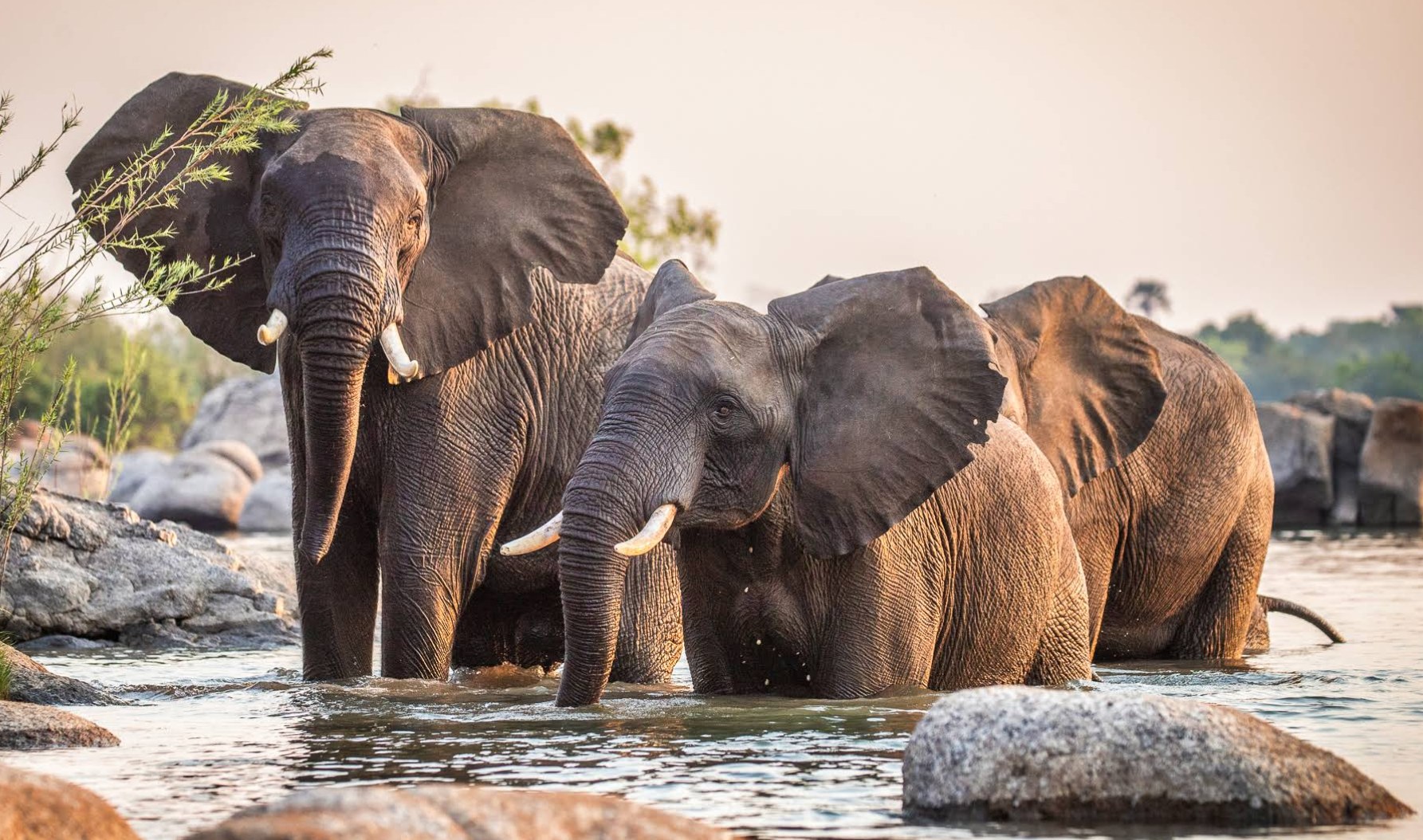 KaingU Safari Lodge en Kafue