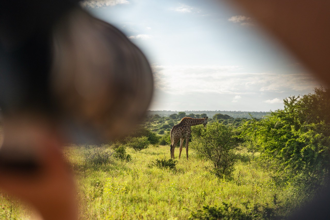 Jabulani en Kapama Private Game Reserve
