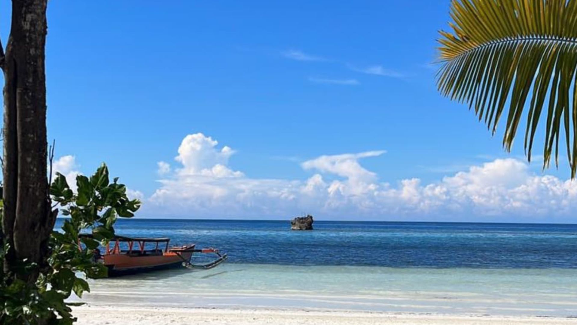 Lia Beach | LAT.40