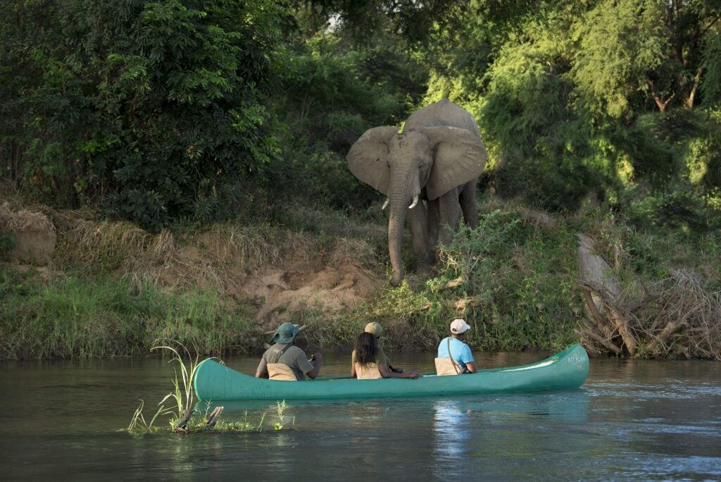 Lolebezi, Lower Zambezi