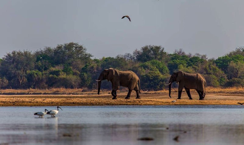 Luambe Camp, Luambe National Park, Luangwa Valley