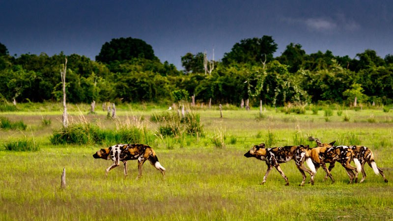 Luambe Camp, Luambe National Park, Luangwa Valley