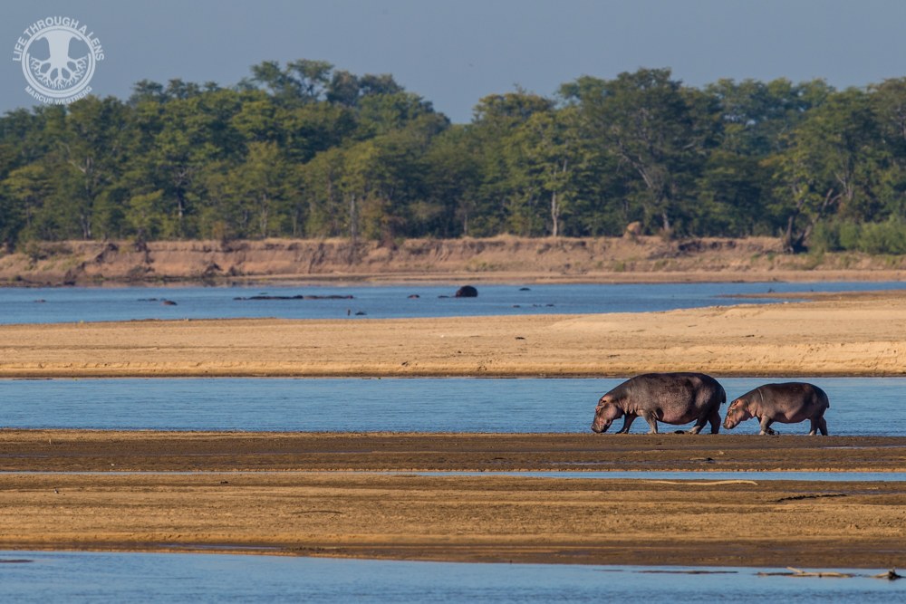 Luambe Camp, Luambe National Park, Luangwa Valley