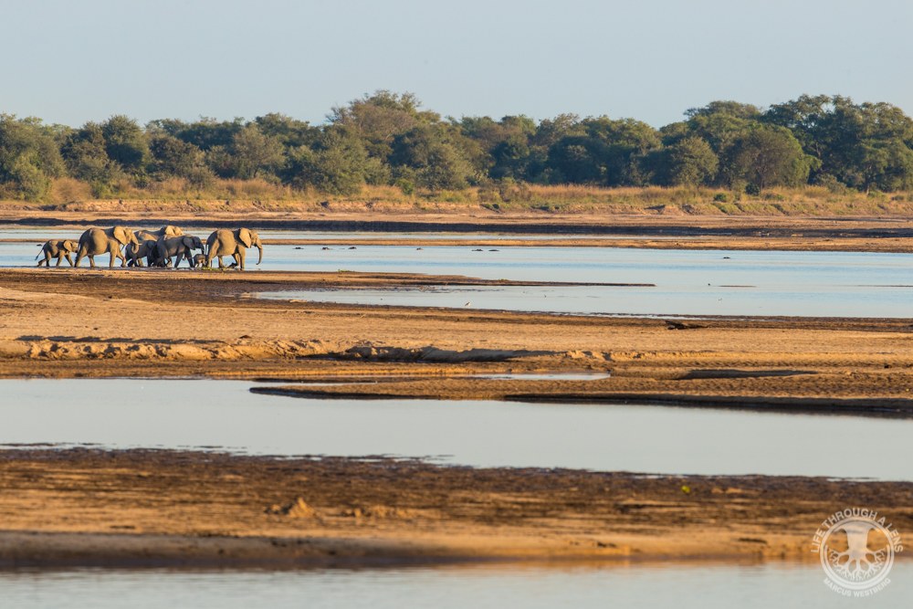 Luambe Camp, Luambe National Park, Luangwa Valley