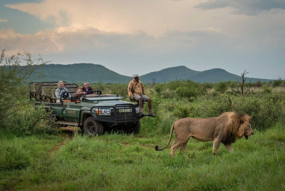 Impodimo Game Lodge en Madikwe Game Reserve
