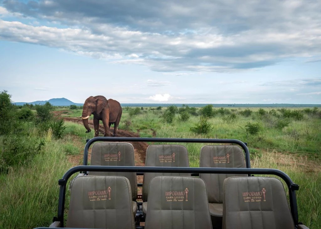 Impodimo Game Lodge en Madikwe Game Reserve