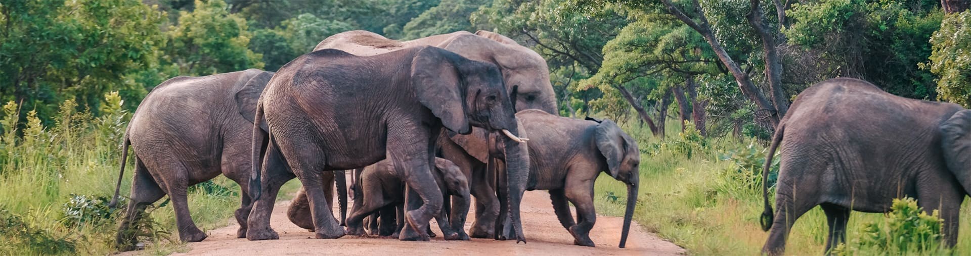 Mukambi Safari Lodge en Kafue