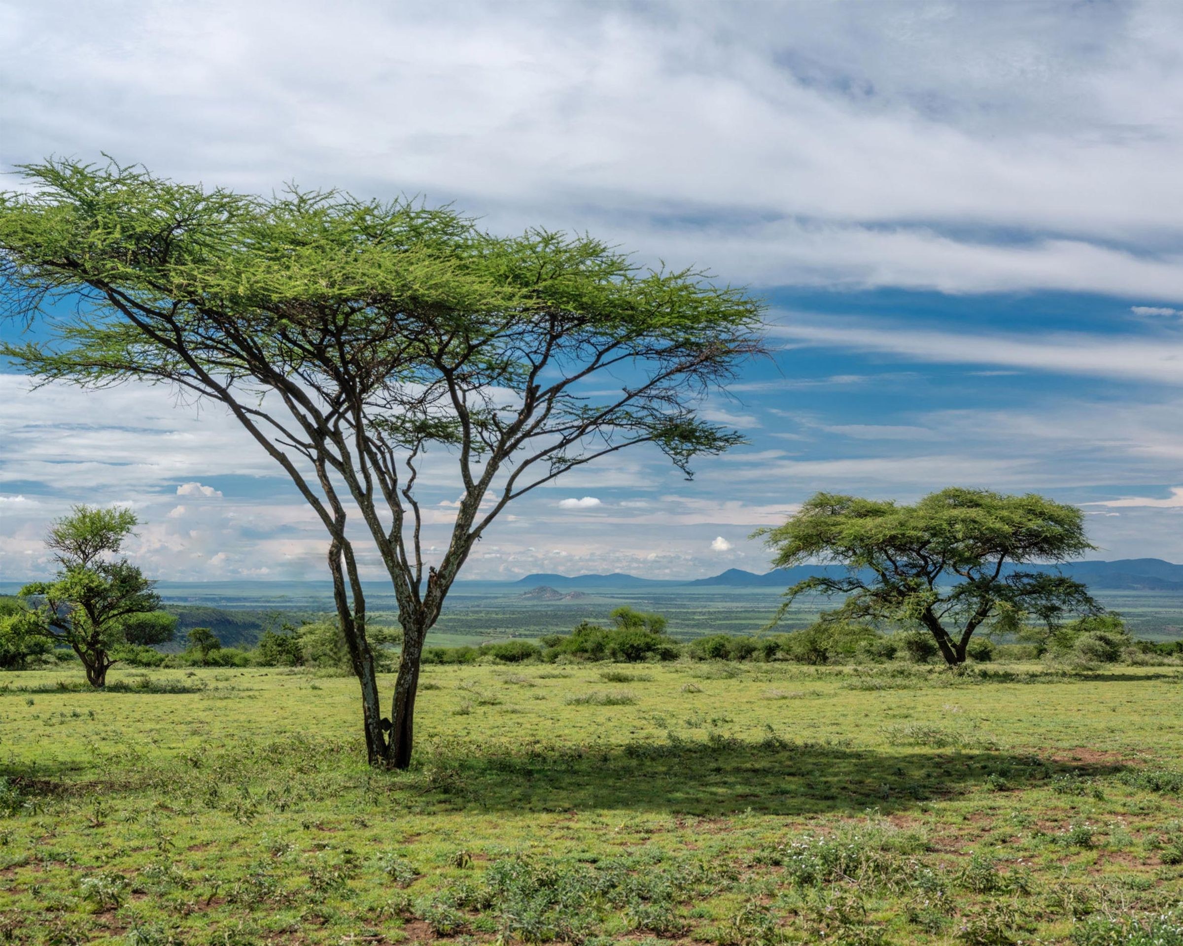 Ngorongoro Crater Camp, an A&K Sanctuary en Ngorongoro