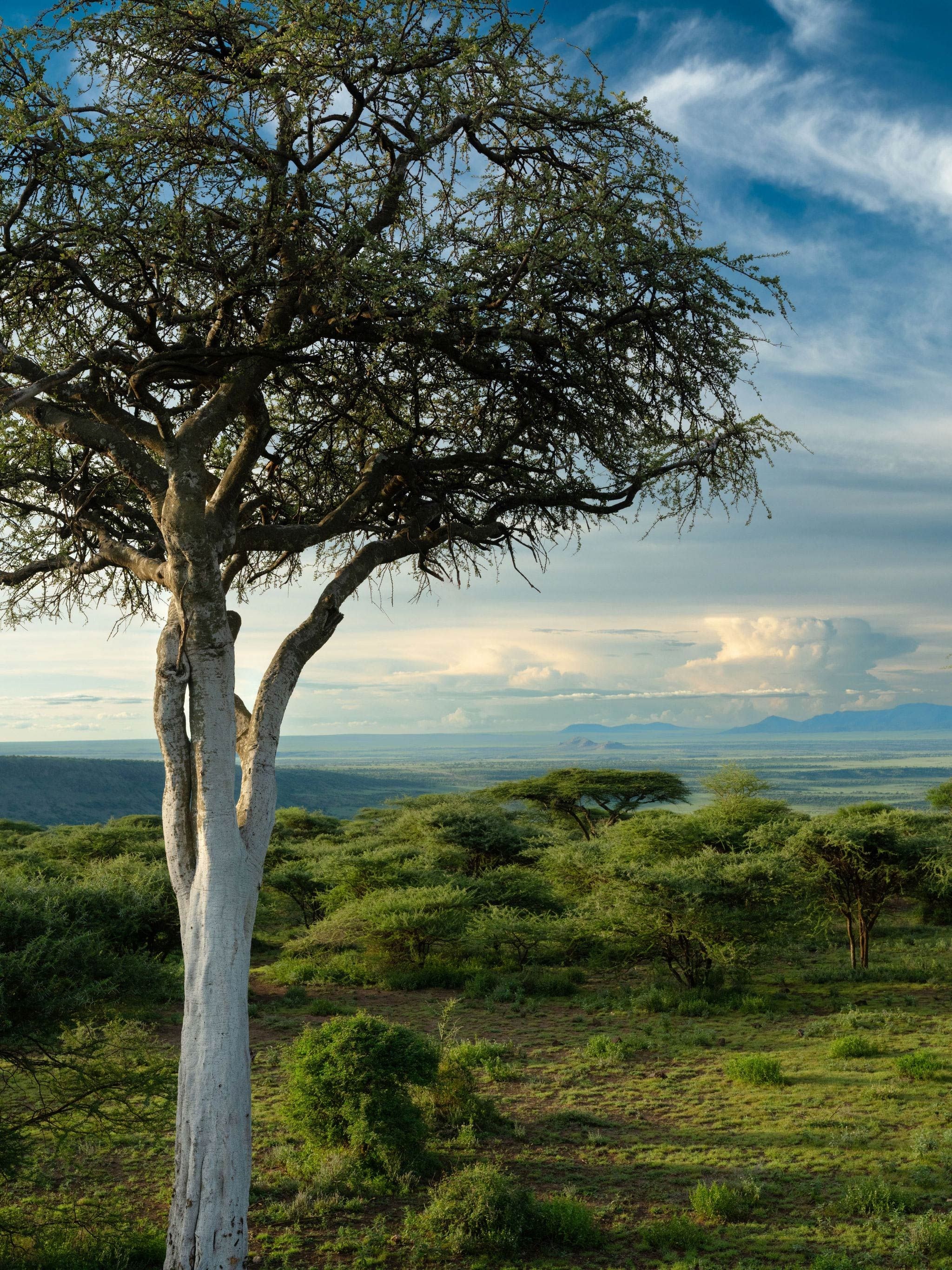 Ngorongoro Crater Camp, an A&K Sanctuary en Ngorongoro