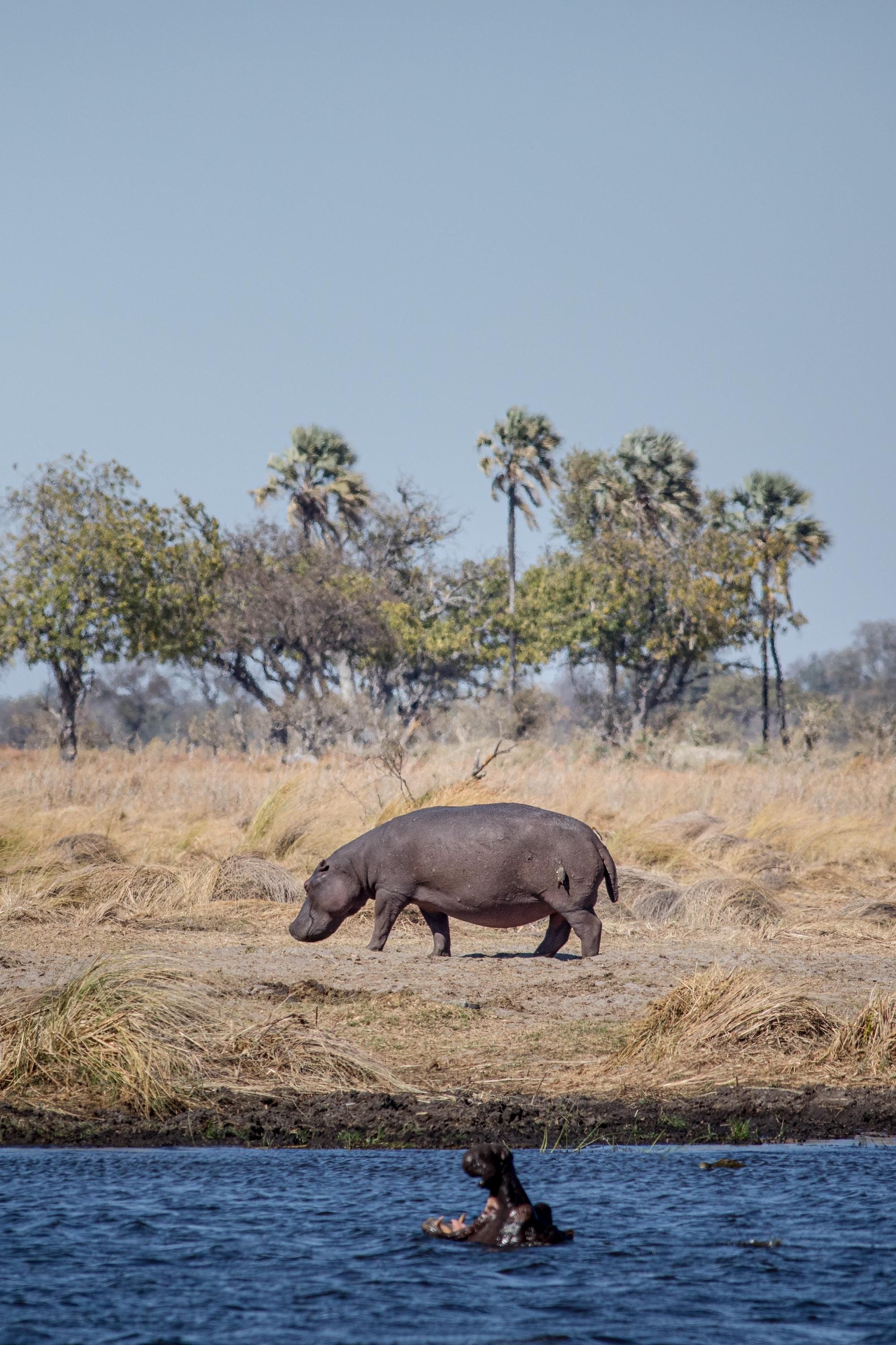 Ngorongoro Crater Camp, an A&K Sanctuary en Ngorongoro