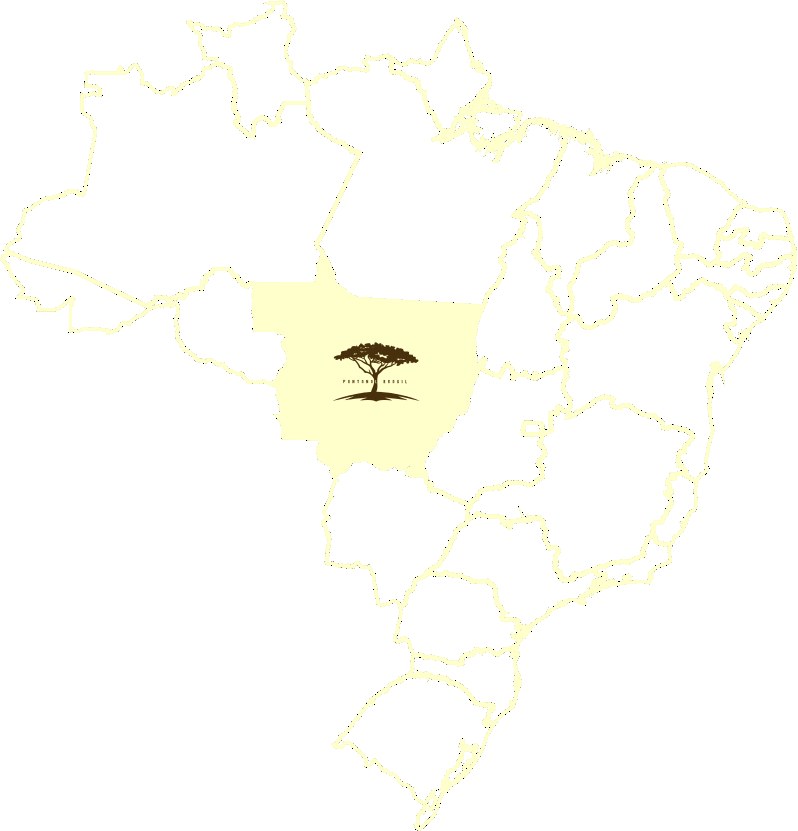 Aymara Lodge en Pantanal