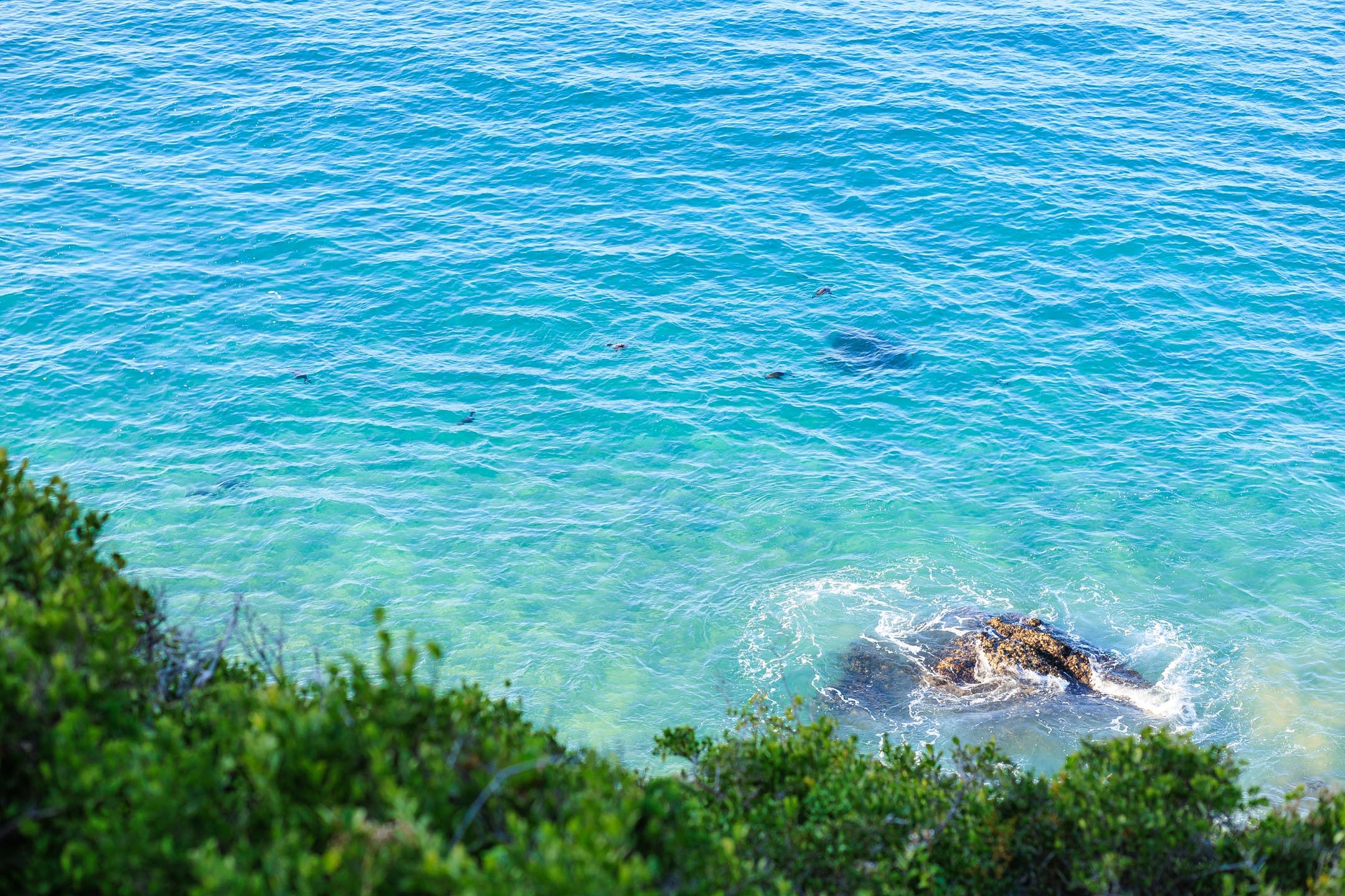 The Plettenberg en Plettenberg Bay