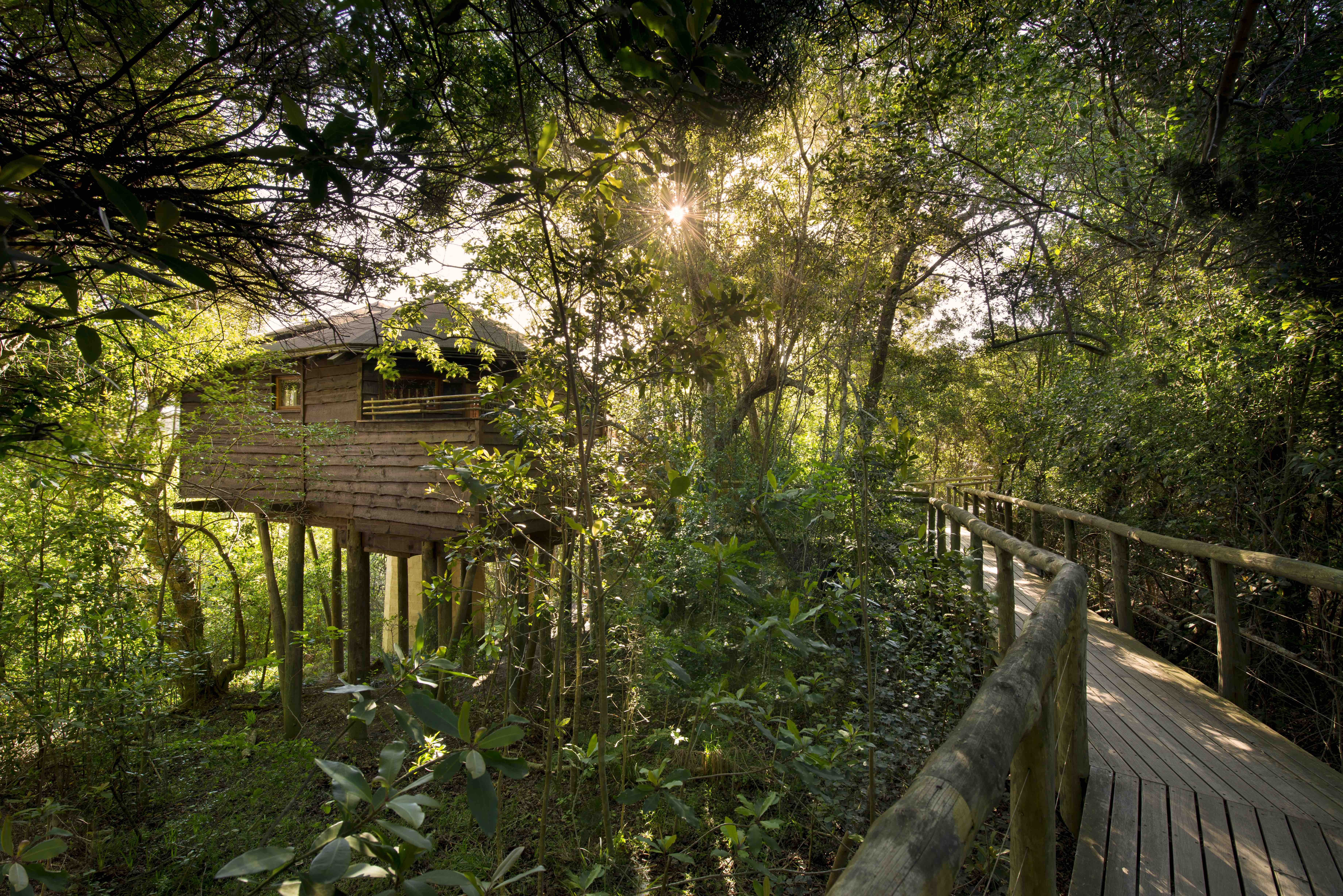 Tsala Suite Exterior:Boardwalk