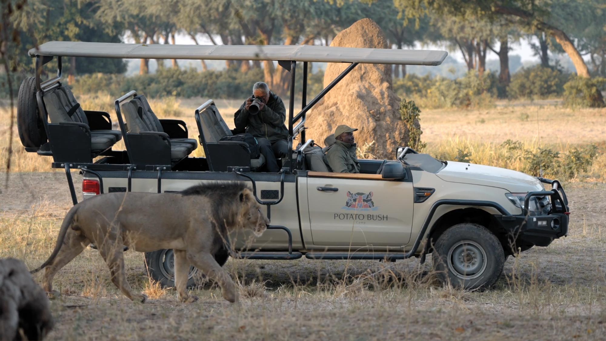 Potato Bush Camp, Lower Zambezi