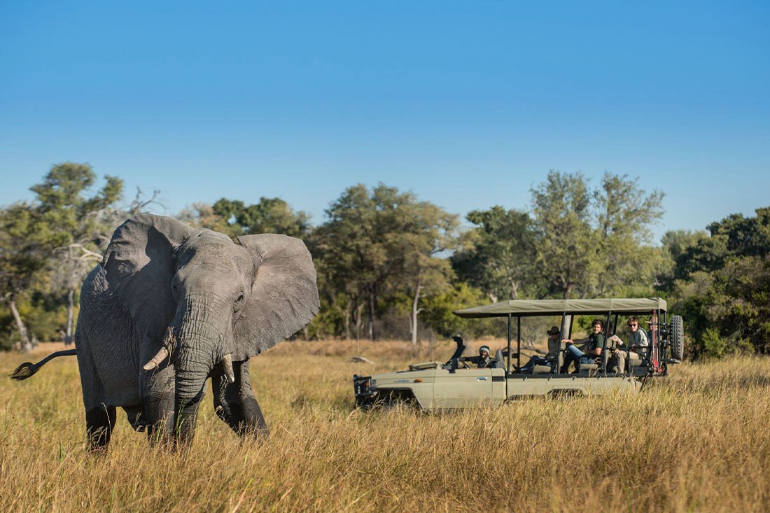 Tuludi Camp, Delta del Okavango