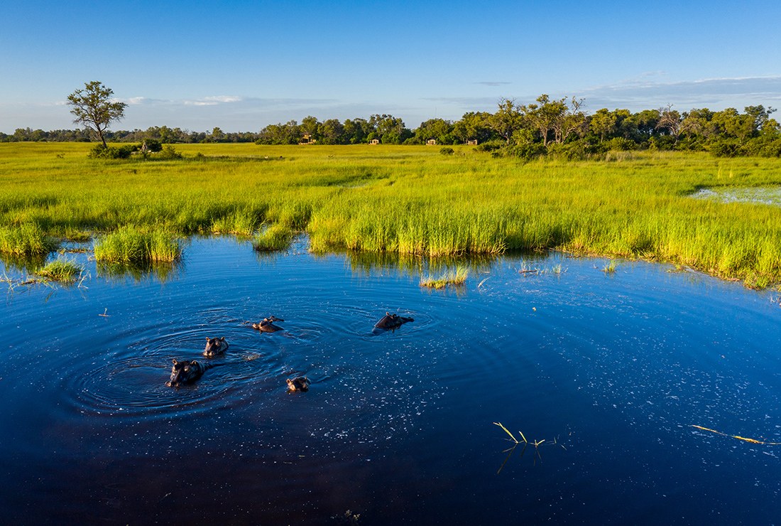 Tuludi Camp, Delta del Okavango