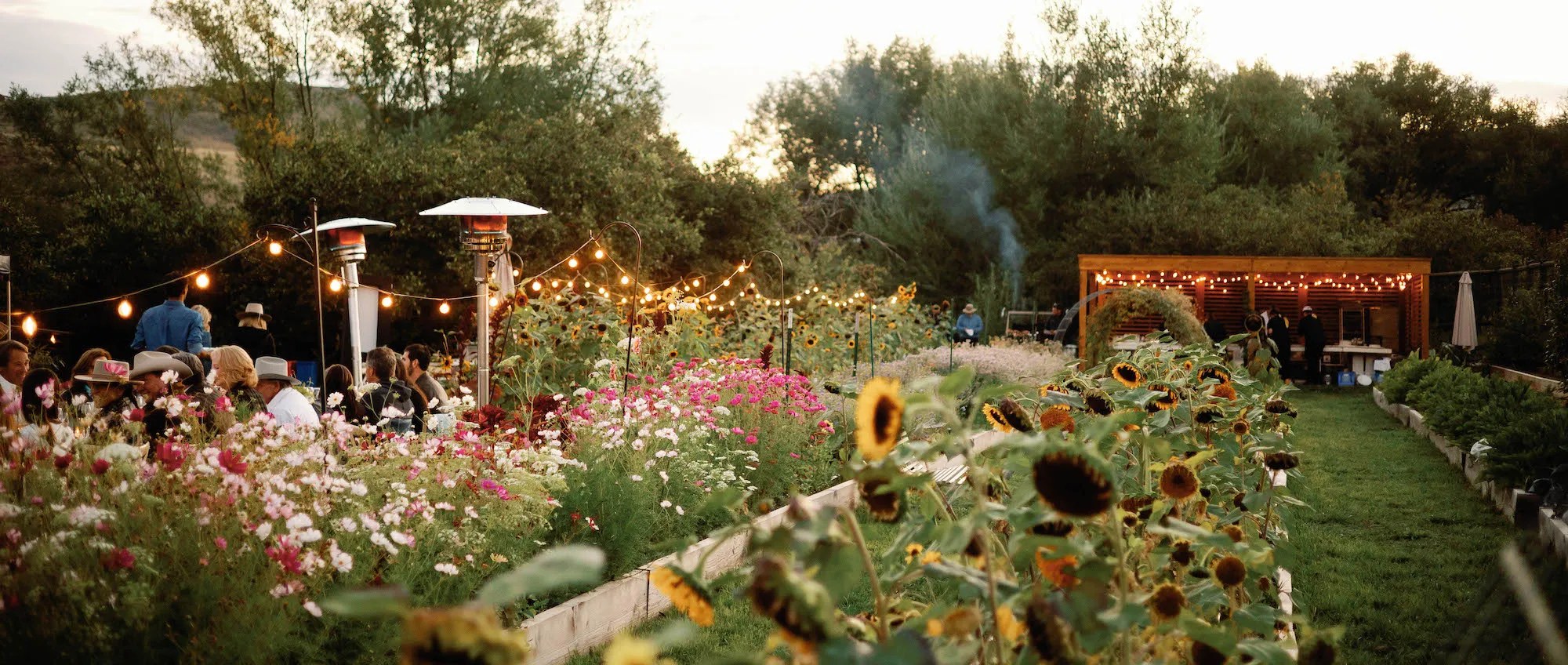 BSK Home Summer   Dine